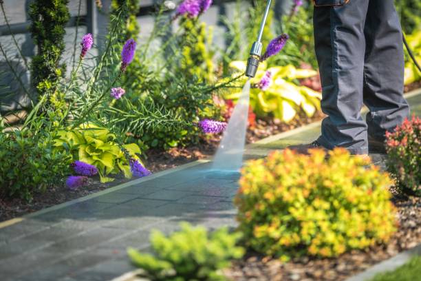 Best Pool Deck Cleaning  in Waynesboro, GA